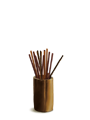  ȥ